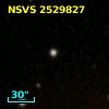 NSVS   2529827