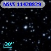 NSVS  11420829