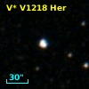 NSVS  13572505