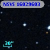 NSVS  16029603
