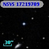 NSVS  17219709