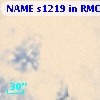 NAME s1219 in RMC 136