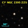 Cl* NGC 2395    ZZS      91