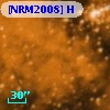 [NRM2008] H