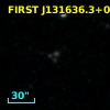 FIRST J131636.3+030131