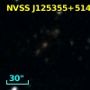 NVSS J125355+514830