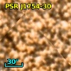 PSR J1754-30