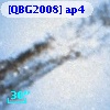 [QBG2008] ap4