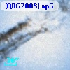 [QBG2008] ap5
