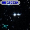 HD 232229