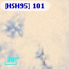 [HSH95]   101