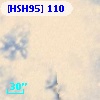 [HSH95]   110