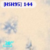 [HSH95]   144