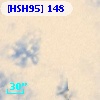 [HSH95]   148