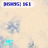 [HSH95]   161