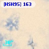 [HSH95]   163