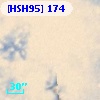 [HSH95]   174