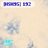 [HSH95]   192