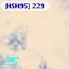 [HSH95]   229