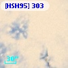[HSH95]   303