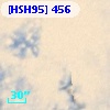 [HSH95]   456
