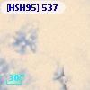 [HSH95]   537