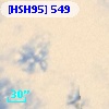 [HSH95]   549