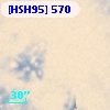 [HSH95]   570
