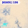 [HSH95]   598