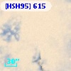 [HSH95]   615