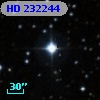HD 232244