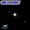HD 237709