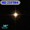 HD 237704