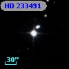 HD 233491