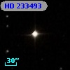 HD 233493