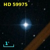 HD  59975