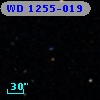 WD 1255-019