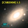 [CSB2008] L1
