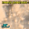 XMMU J104236.8-594357