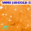 XMMU J104356.0-593515