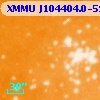 XMMU J104404.0-593238