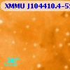 XMMU J104410.4-594000