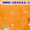 XMMU J104426.6-594245
