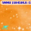 XMMU J104508.8-593850
