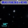 IRAS F16261+4245