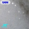 XMMM31 J004158.6+411052