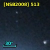 [NSB2008] 513