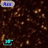 Ass Car OB   1- F