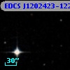 EDCS J1202423-1226539