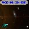 MCG+08-29-036